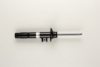 BMW 31316791579 Shock Absorber